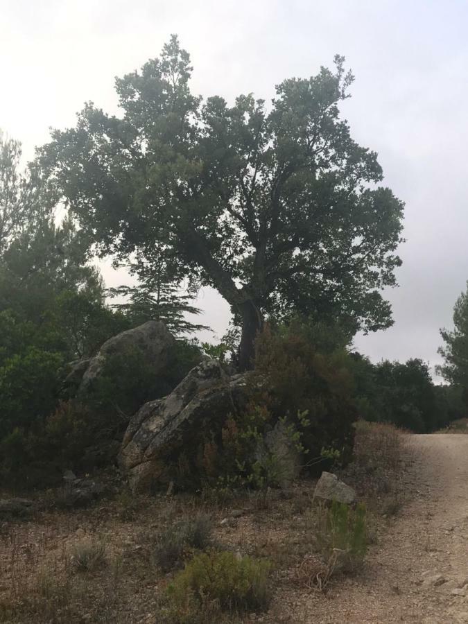 Sardegna Vicino Ad Olbia "La Casa Nel Vicolo" Villa Berchidda Exterior photo
